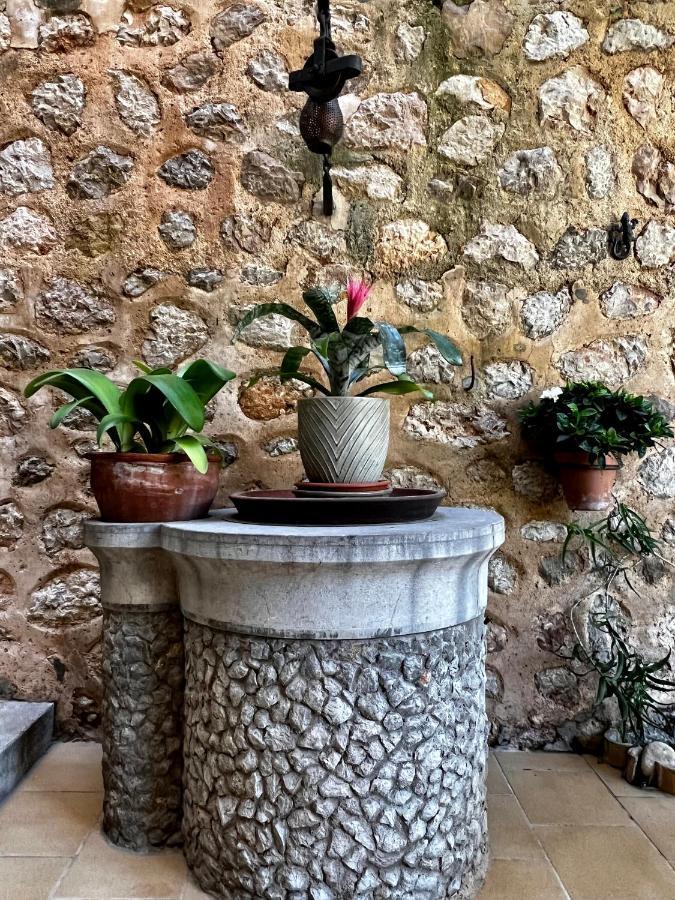 Hotell Casa Bougainvillea