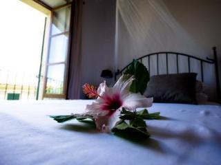 Casa Bougainvillea Hotell 3*